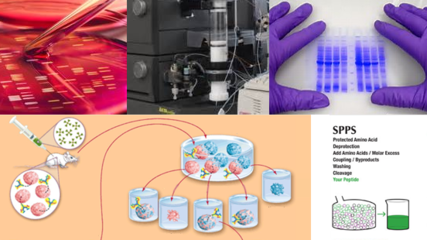 西宝生物科技 推动生物科技技术的创新与发展